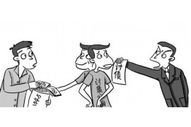 鲁山为什么选择专业追讨公司来处理您的债务纠纷？